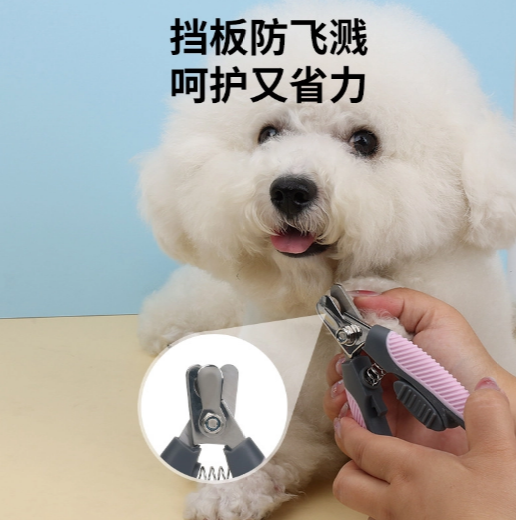 How to Use a Dog Nail Cutter Safely and Effectively