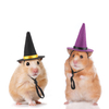 Decorative Animal Headdress for Hamsters with Unique Gold Silk Bear