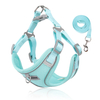 Pet Braces Summer Vest Style Breathable Dog Harness Breathable Dog Leash