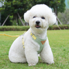 Dog Leash Anti-break Pet Braces Teddy Bear Small Dog Dog Chest Back Pet Harness