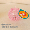 Bite Resistant Toy Ball for Dogs Pet Products 