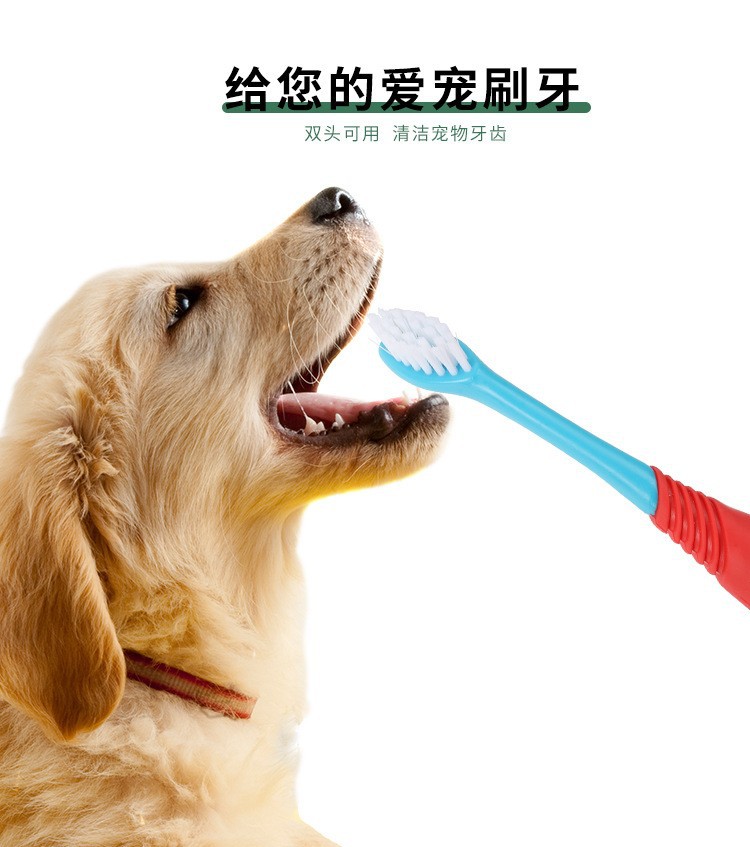 O1CN01IuAZd71kkGk8mV4Zi_!!1000534721-0-cib