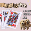 Bite Proof Dog Toy: Tough Card Newspaper for Playful Pet Interaction