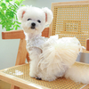 Stylish Breathable Pet Clothes for Small Dogs and Cats
