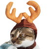 Christmas Cat Dog Hat Headwear Scarf Cape to Dress Cape