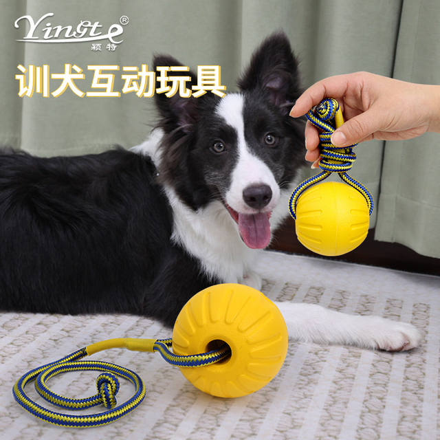 Interactive Bite Resistant Dog Toy Ball for Outdoor Fun
