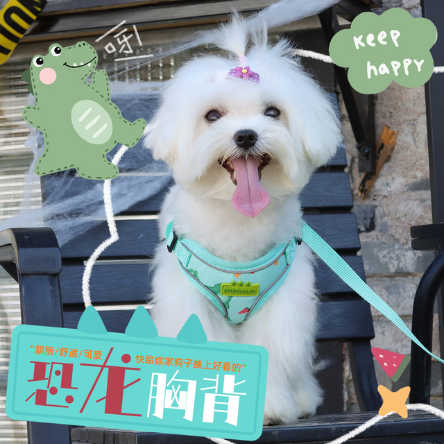 Dog Leash Dinosaur Cartoon Puppy Chest Back Comfortable Breathable Dog Rope Reflective Dog Harness