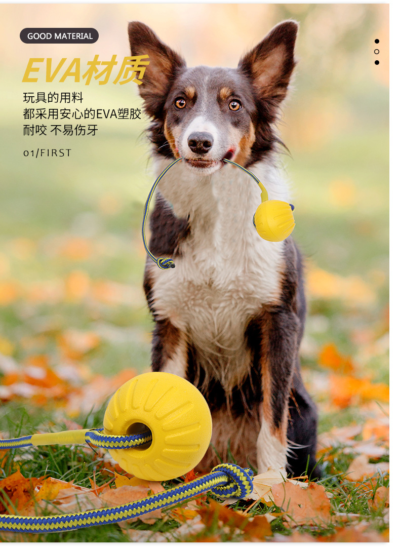 O1CN01glp4FH1kkGk7tJ682_!!1000534721-0-cib