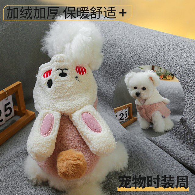 Winter Dog Jacket, Cozy Padded Coat for Cold Weather Adventures