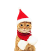 Christmas Cat Dog Hat Headwear Scarf Cape to Dress Cape