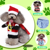 Whimsical Pet Outfits for Fun and Fashionable Doggy Adventures