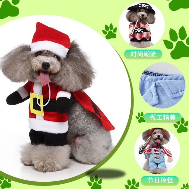 Whimsical Pet Outfits for Fun and Fashionable Doggy Adventures
