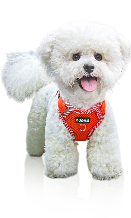 Pet Products