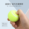 Flexible Tennis Ball Dog Toy for All Sizes and Durability