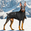 Autumn And Winter Pet Clothes Reflective Warm Jacket for Dogs Windproof And Waterproof Padded Coat for Dogs