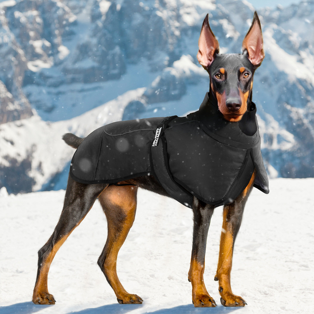 Autumn And Winter Pet Clothes Reflective Warm Jacket for Dogs Windproof And Waterproof Padded Coat for Dogs