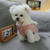 Winter Dog Jacket, Cozy Padded Coat for Cold Weather Adventures
