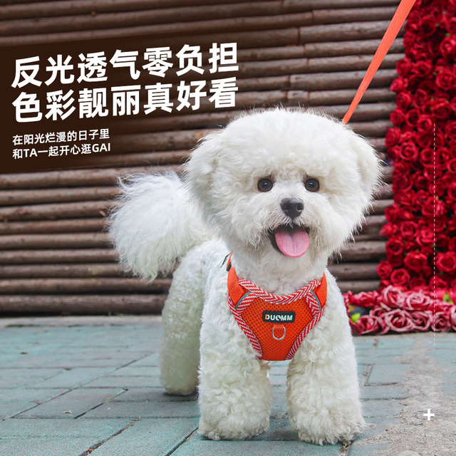 Dog Chest Back Breathable Pet Chest Strap for Small Dogs Breathable Printed Dog Leash Pet Harness